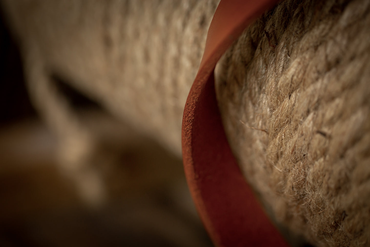 Women's Belt - Tan