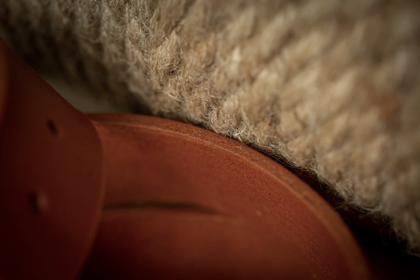 Men's Belt - Tan